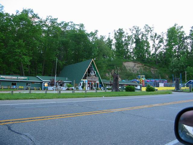 Irish Hills Area - Prehistoric Forest